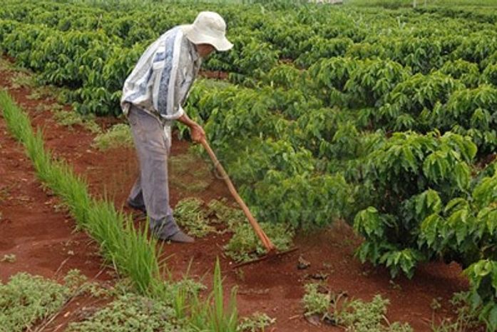 Colegiado territorial rural do Baixo São Francisco reliza oficina em Coruripe