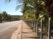 Polícia investiga suposta rede de pedofilia na Região da Barra de Santo Antônio