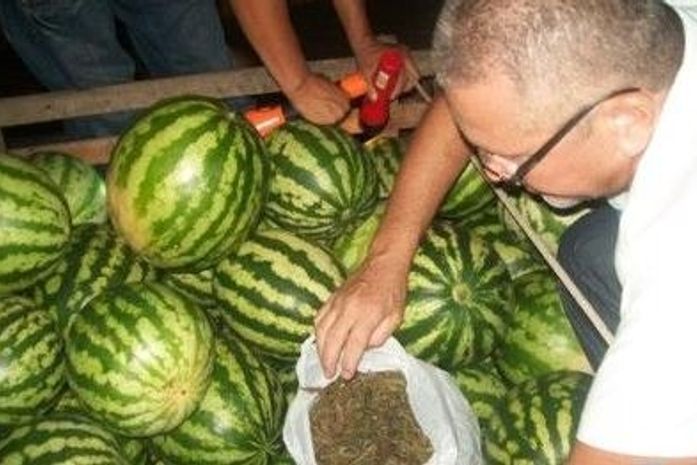 Droga é encontrada em carga de melancias
