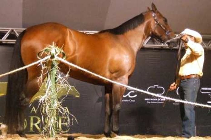 Leilão: ei garçom, traga o churrasco! gerou um lance