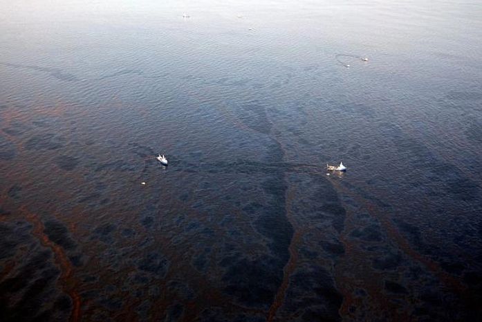 Um mês após início do vazamento, petróleo alcança Louisiana