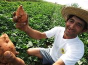 Agricultores do Sertão alagoano serão atendidos nesta terça-feira