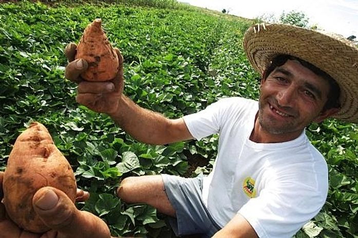 Agricultores do Sertão alagoano serão atendidos nesta terça-feira