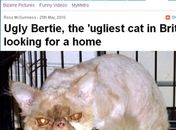 Bertie tem 8 anos de idade