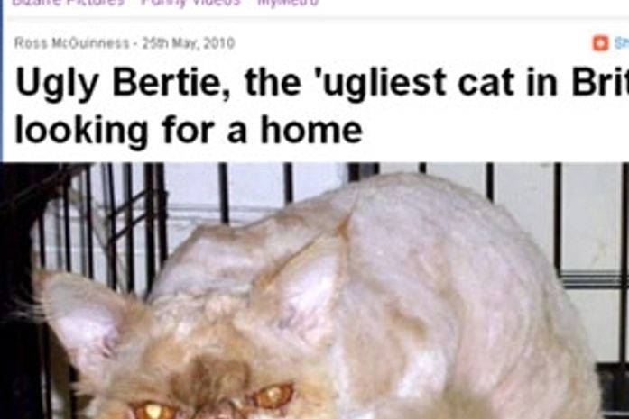 Bertie tem 8 anos de idade