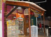 Pet Shop é assaltado na Pajuçara
