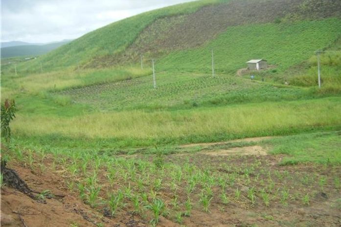 Flor do Bosque II: reintegração de posse é suspensa por oito dias