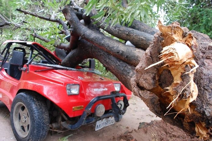 Chuvas voltam a castigar Estado nesta sexta e árvore atinge duas casas em Ipioca