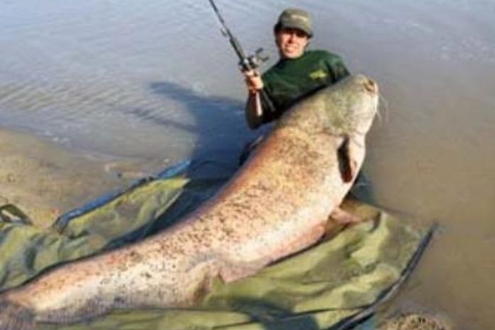Roberto Godi com o peixe gigante