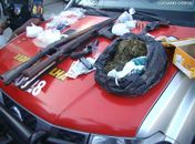 Drogas e armas apreendidas 