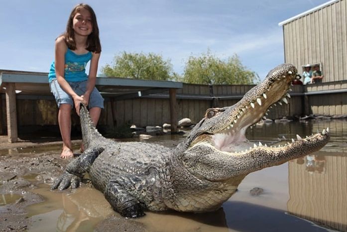 Menina de 9 anos ensina a lutar com crocodilos nos EUA