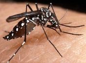 Munícipio e Estado discutem combate ao Aedes Aegypti