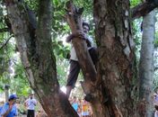 Quilombolas contam como escaparam da enchente agarrados em jaqueiras