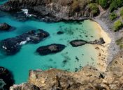 Fugindo para Fernando de Noronha