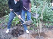 Jamil planta árvore na floresta da fama em  Maceió