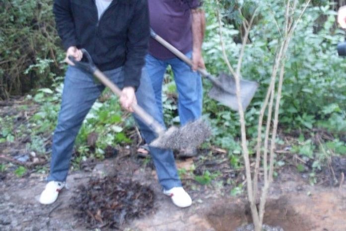 Jamil planta árvore na floresta da fama em Maceió