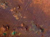 Rochas de Marte podem ter indício de vida