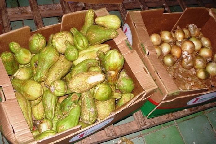 Merenda escolar é alvo de denúncias na cidade de Palmeira dos Índios