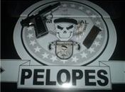 Pelopes de Arapiraca apreende pistola com filho de advogado