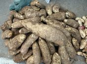 Estado orienta municípios sobre compra da agricultura familiar para merenda