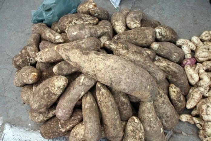 Estado orienta municípios sobre compra da agricultura familiar para merenda