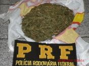 Droga foi encontrada com dois menores em Canapi