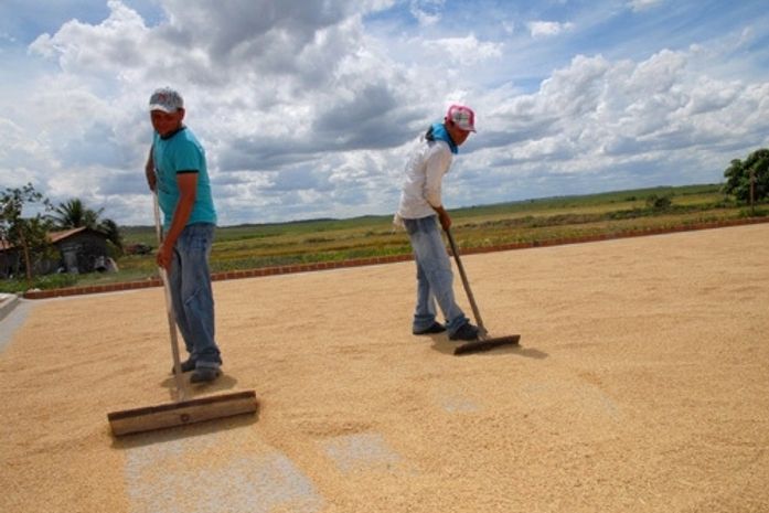 Palmeira dos Índios: Técnicos são capacitados na emissão de DAP nesta terça