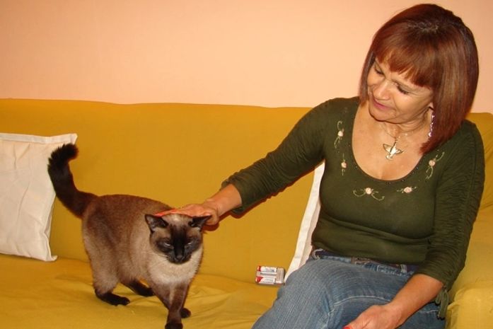 Nina recebe carinhos da dona depois de dormir quase 40 horas