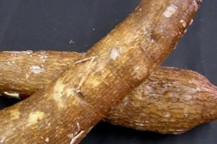 Homem fica dez dias com uma mandioca no ânus