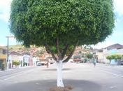 Cidade de Quipapá