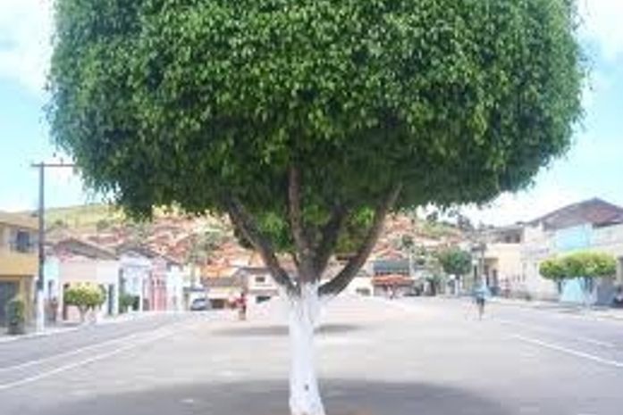 Cidade de Quipapá