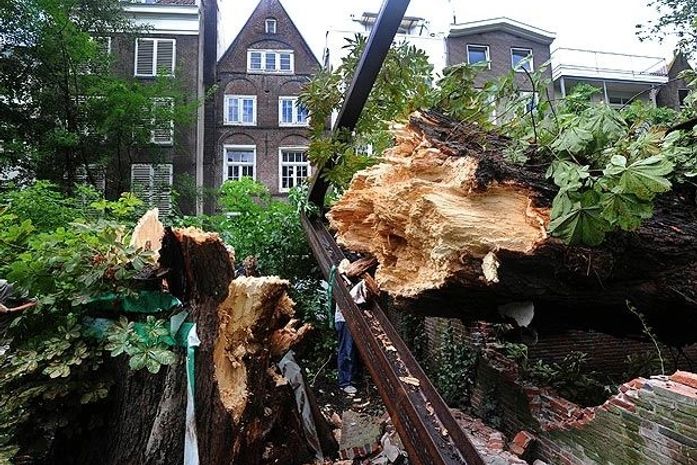 Temporal derruba árvore de Anne Frank em Amsterdã