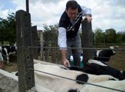 Adeal prepara mutirão para atualização de cadastros agropecuários