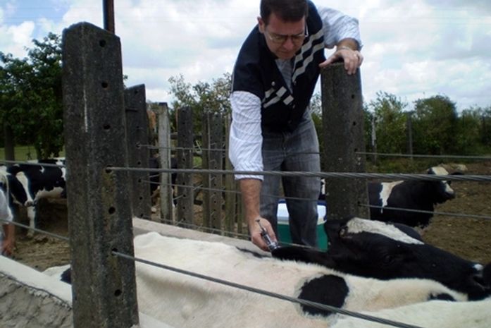 Adeal prepara mutirão para atualização de cadastros agropecuários