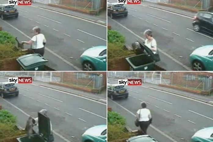 Mulher foi flagrada jogando gata em lixeira.