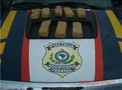 PRF encontra 4 kg de merla em ônibus interestadual