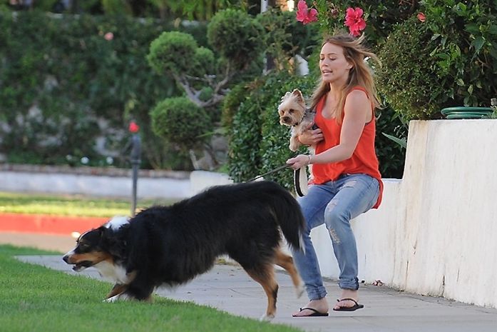 Hilary Duff quase é arrastada por seu cachorro