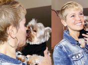 Xuxa 
