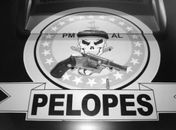 Menores são apreendidos com arma de fogo em Penedo