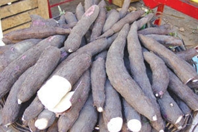 Compra de alimentos: Prefeituras vão aderir ao PAA durante a Expobatalha