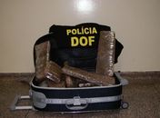 Adolescente paraguaio é flagrado com maconha dentro de ônibus em MS