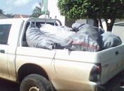 IBAMA desencadeia operação de combate ao desmatamento