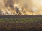 Fogo é controlado no Parque Nacional de Brasília