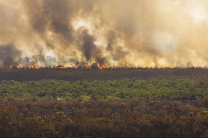 Fogo é controlado no Parque Nacional de Brasília