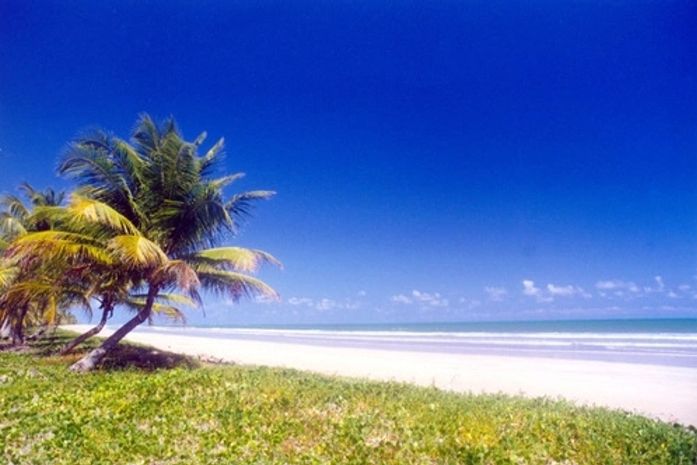 Seminário internacional criará propostas para a Costa dos Corais