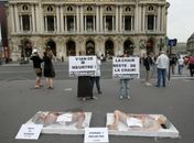 Ativistas viram carne embalada em protesto vegetariano em Paris