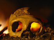 Erupções vulcânicas podem ter causado extinção dos Neandertais