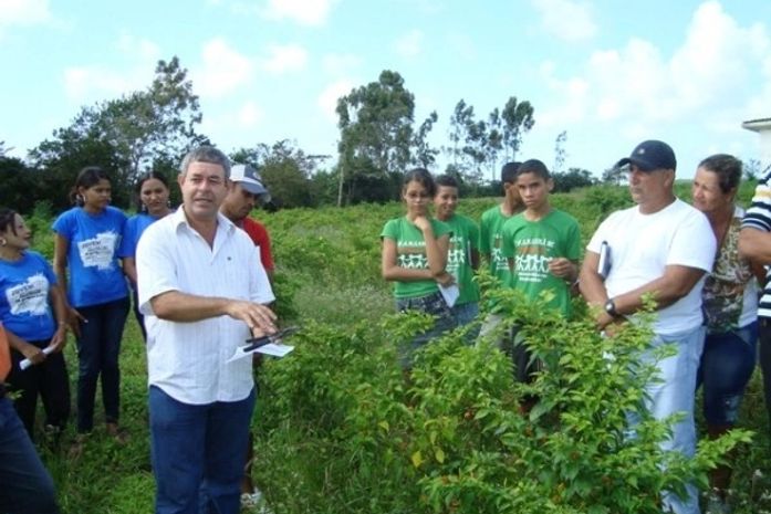 Pindorama incentiva cultivo de pimenta malagueta