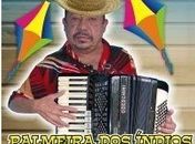 Morre  sanfoneiro João Demó artista de Palmeira dos Índios