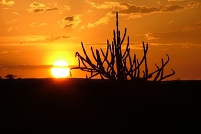 Blogueiro de férias